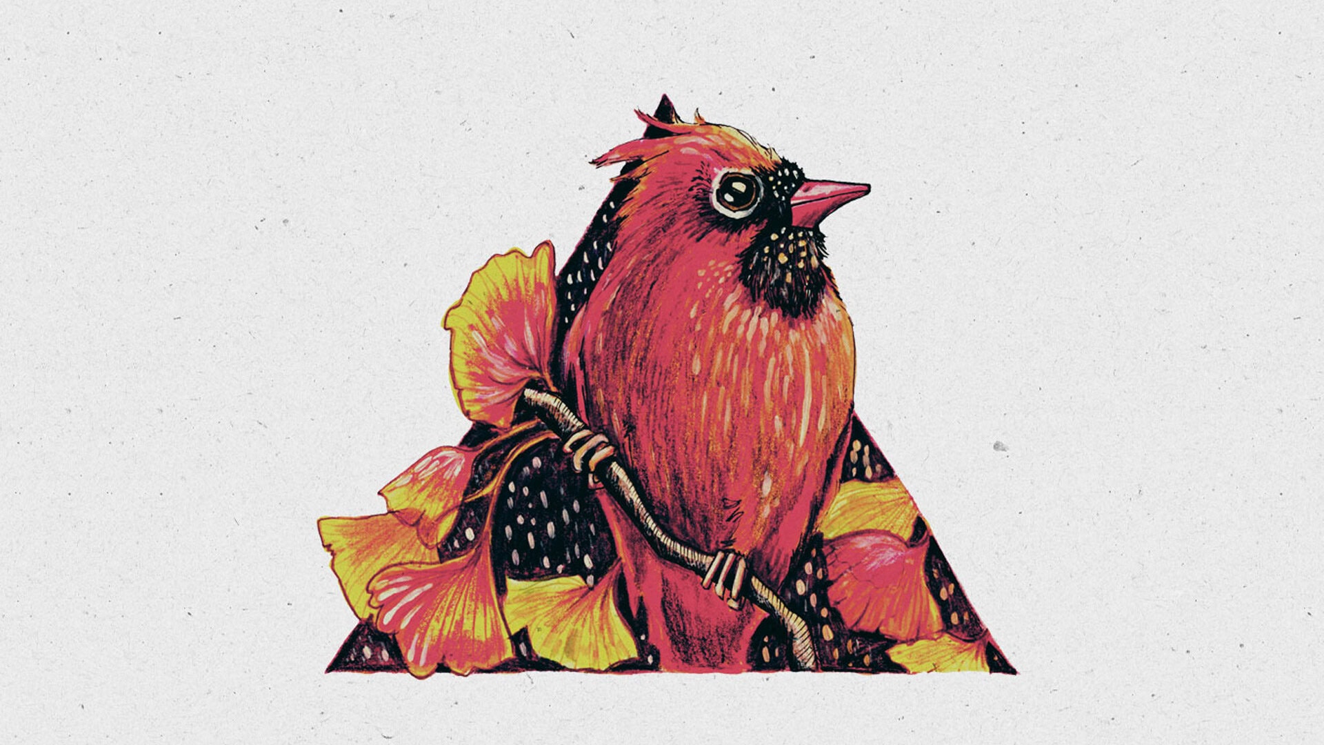 Bird Series